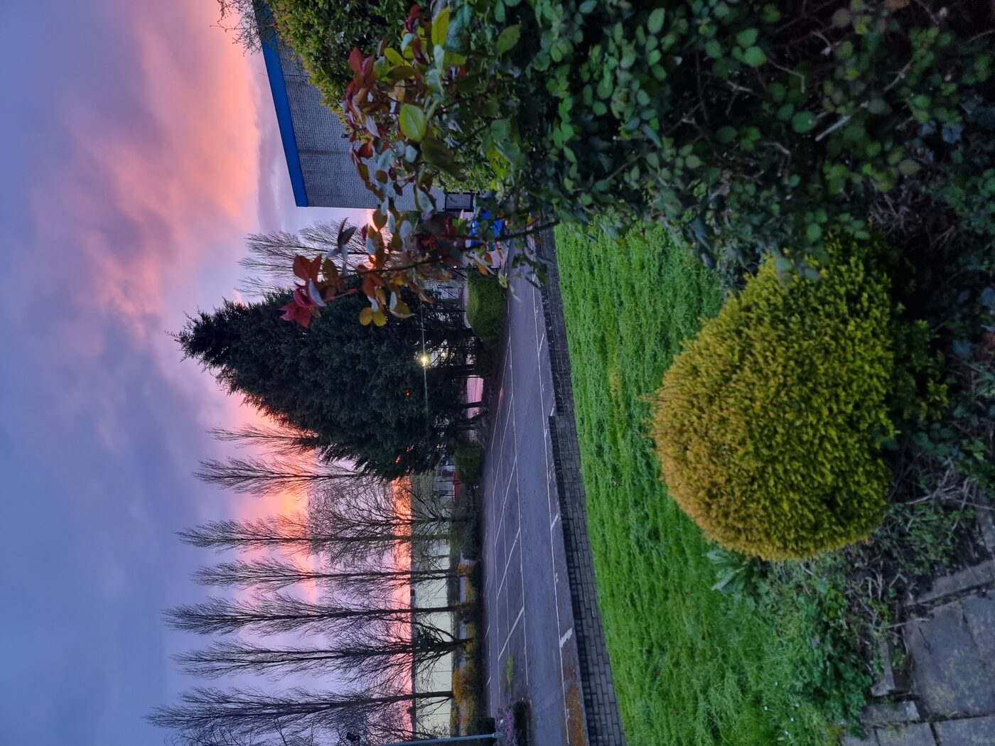 Commercial grounds maintenance — CM Gardening Ltd