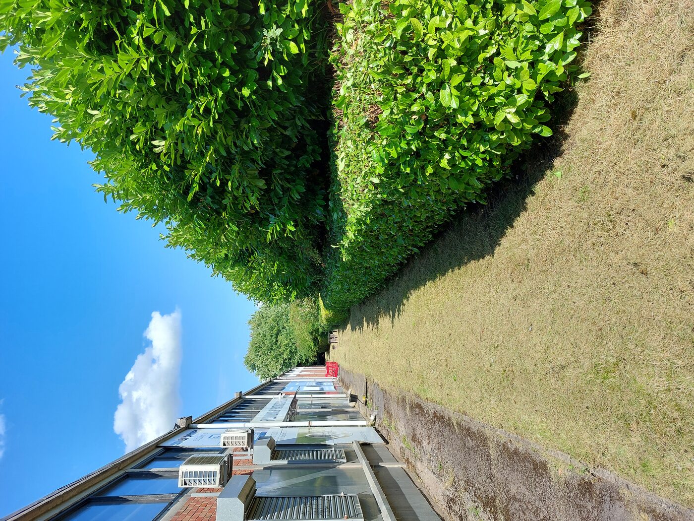 Commercial site hedge maintenance — CM Gardening Ltd