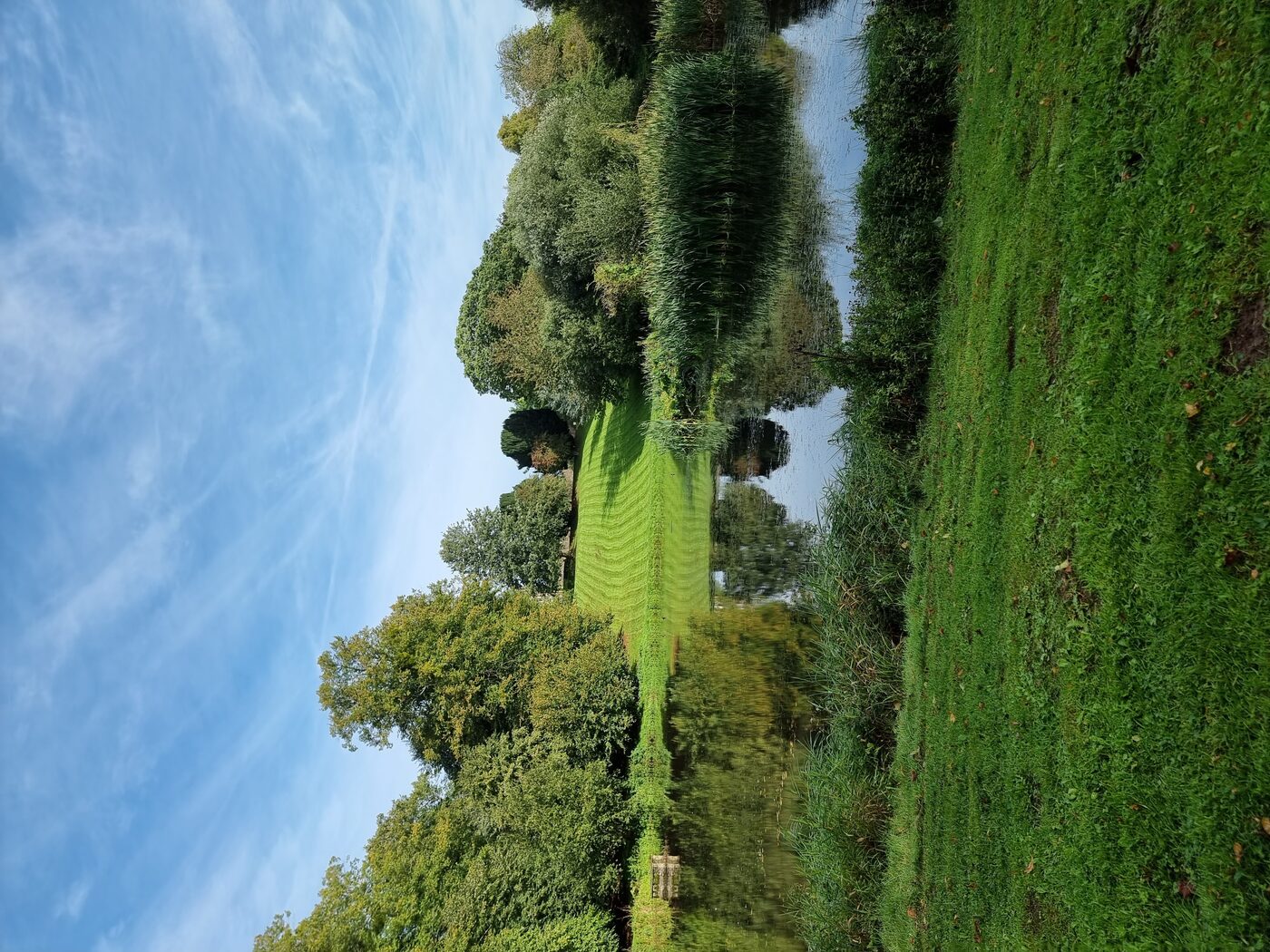 Private estate lake and lawns — CM Gardening Ltd